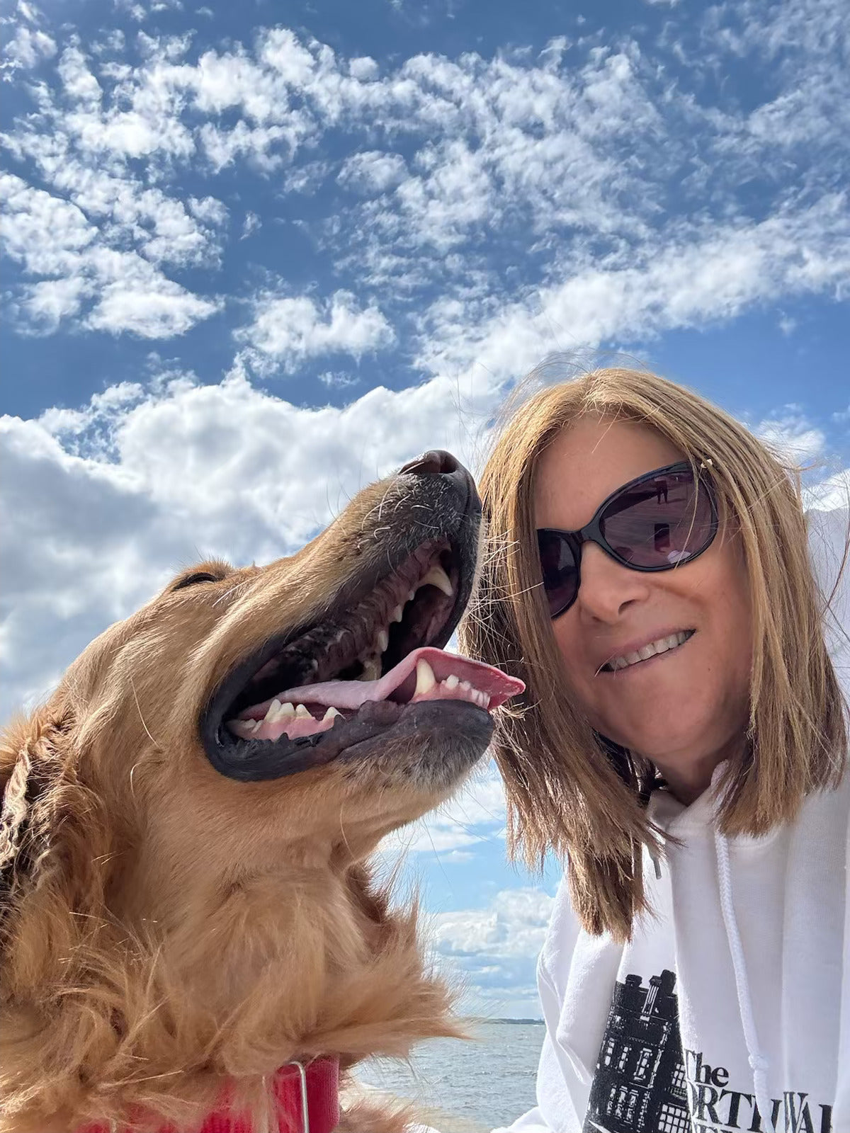 Why Wholesome Dog Treats Are a Smart Choice Today